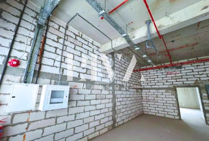 131581271 - Property Image 2