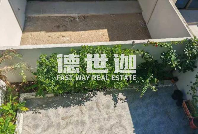 16067444 - صورة العقار 3