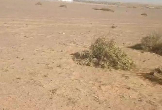 100386594 - صورة العقار 2