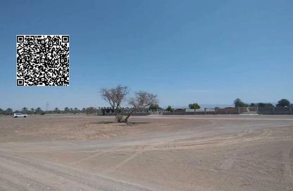 أرض - استوديو للبيع في المنامة - عجمان