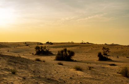 Land - Studio for sale in Hay Al Dibdibah North - Al Zubair - Sharjah