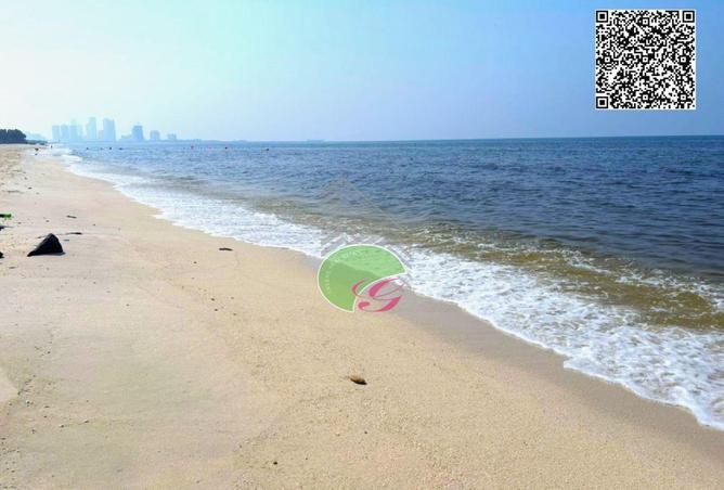 16118838 - صورة العقار 3