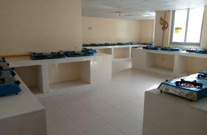 Labor Camp - Studio - 7+ Bathrooms for rent in Al Quoz Industrial Area 3 - Al Quoz Industrial Area - Al Quoz - Dubai