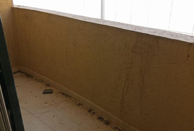 84488817 - صورة العقار 2