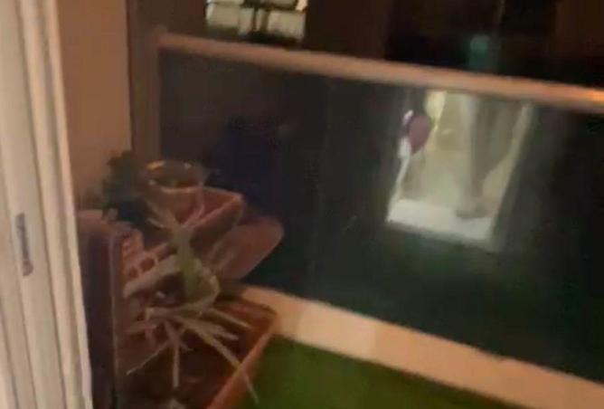 81962604 - صورة العقار 2