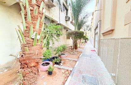 Apartment - 1 - 2 for rent in Al Manakh - Al Qasimia - Sharjah