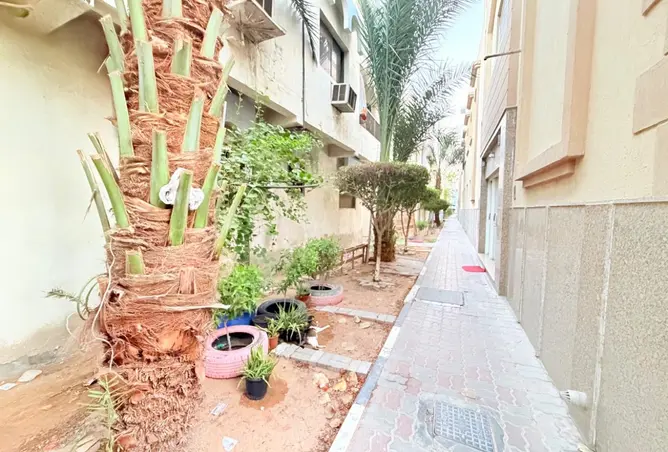 152367604 - صورة العقار 2