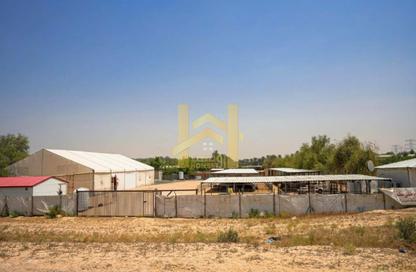 Farm - Studio for rent in Fujairah Beach - Downtown Fujairah - Fujairah