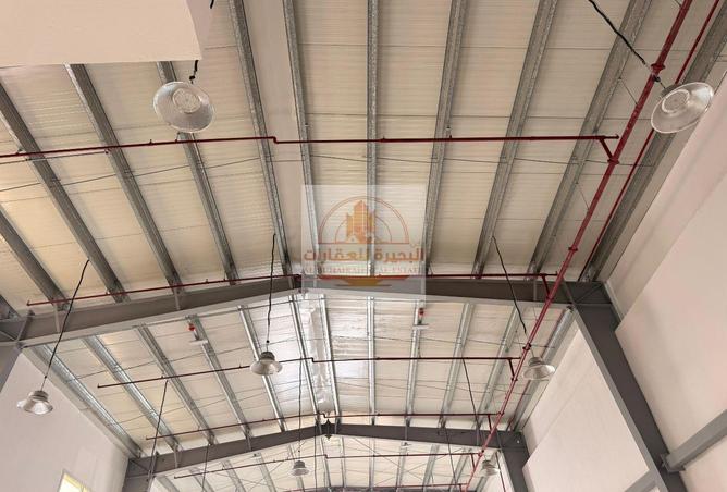 53579479 - صورة العقار 3