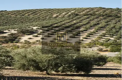 Farm - Studio for sale in Zayed Military City - Abu Dhabi