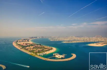 شقة - 3 غرف نوم - 3 حمامات للايجار في برج Beach Vista 1 - بيتش فيستا - إعمار بيتشفرونت - دبي هاربور - دبي
