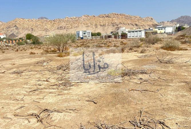 16333479 - Property Image 3