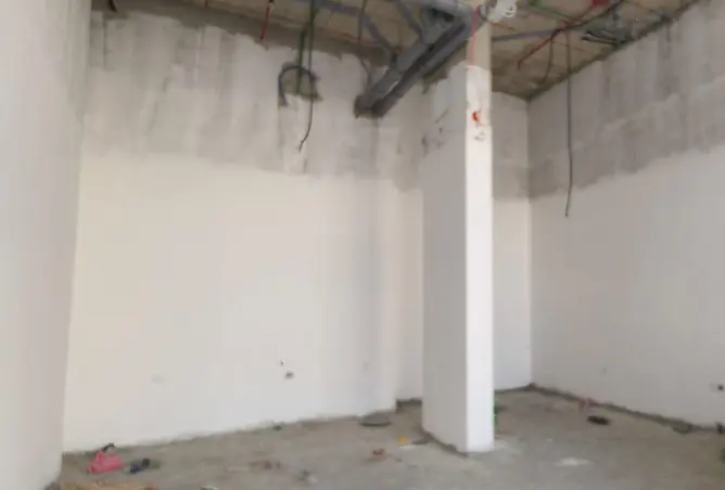 151338970 - Property Image 3