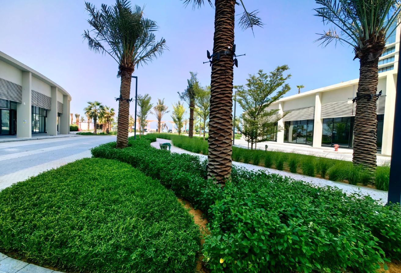 Beachfront Living | 1BR | Hayat Island