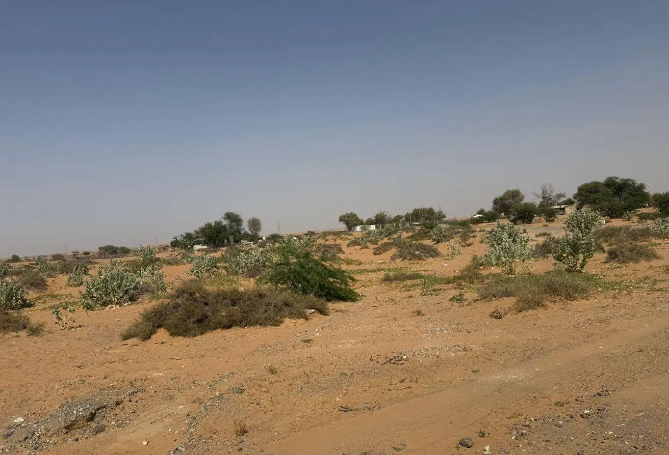 105536524 - الصورة الرئيسية للعقار