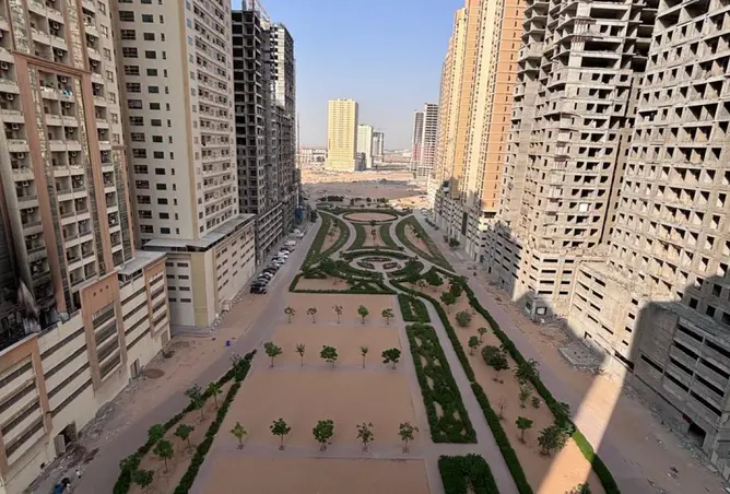 160972657 - Property Image 3