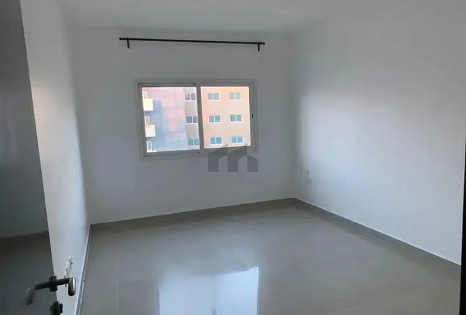 146884295 - Property Image 3