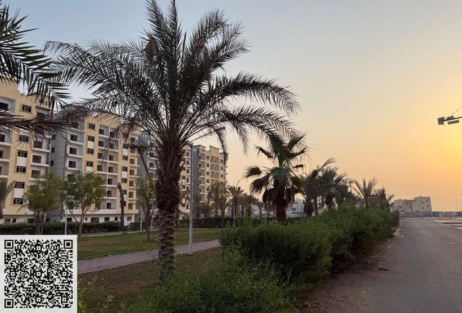 58950043 - صورة العقار 3