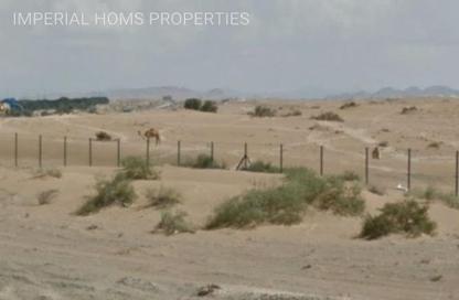 Land - Studio for sale in Al Jurf 3 - Al Jurf - Ajman Downtown - Ajman