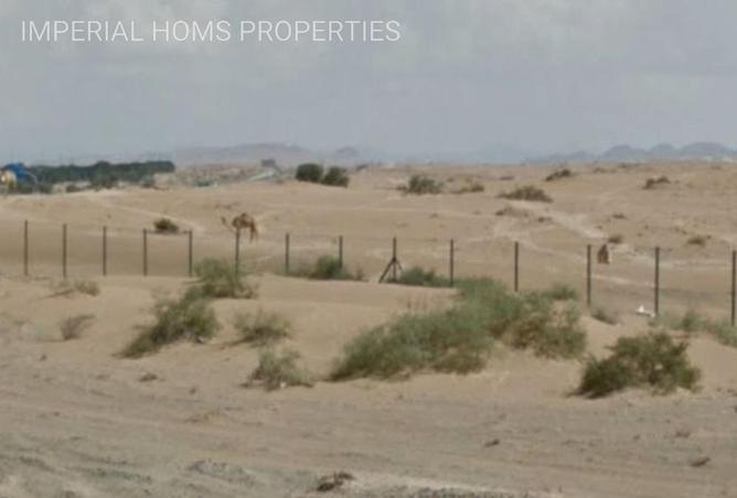 55339146 - Property Image 3