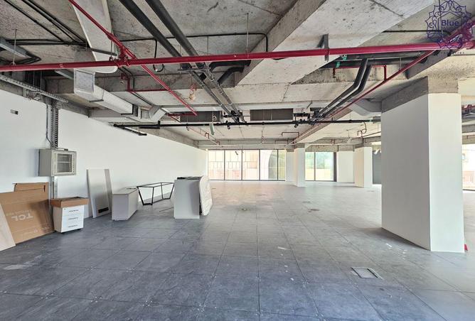 16308924 - Property Image 3