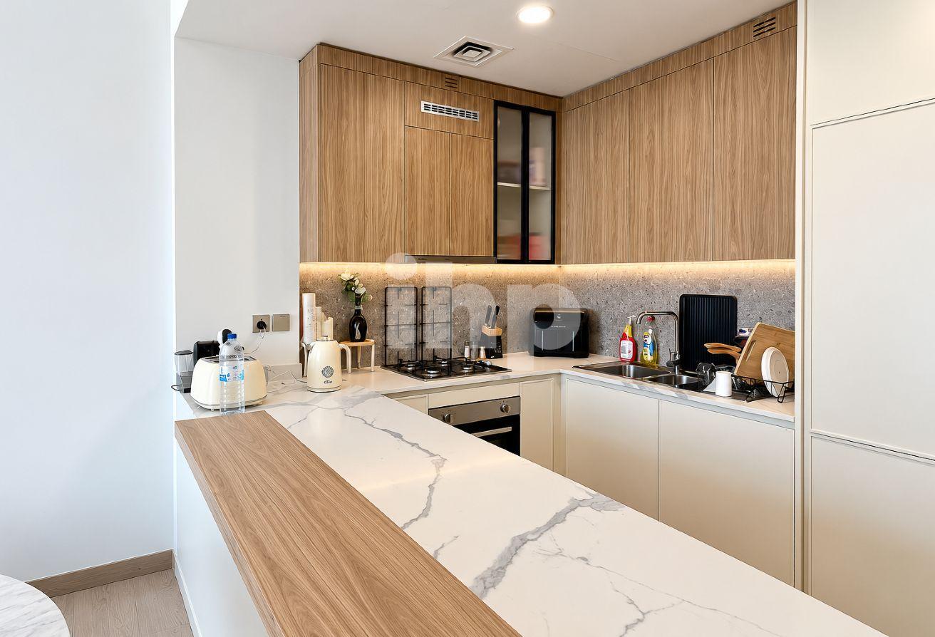 Premium Finishing | Fully Furnished | Park View photo 11