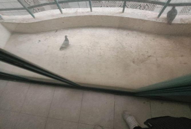 115497520 - Property Main Image
