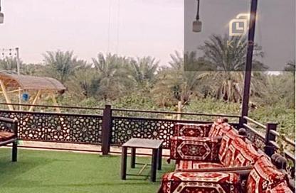 مزرعة - استوديو للايجار في المالحة - الرحمانية - الشارقة