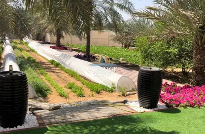 أرض - استوديو للبيع في الزاهية جاردنز - الزاهية - عجمان