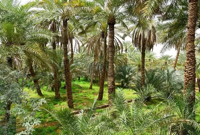 107728669 - صورة العقار 2