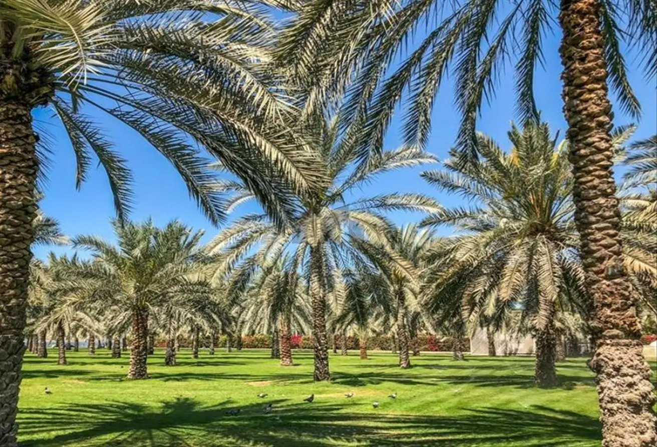107728669 - الصورة الرئيسية للعقار