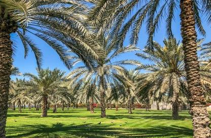 Farm - Studio for sale in Al Dhahrah - Al Ain