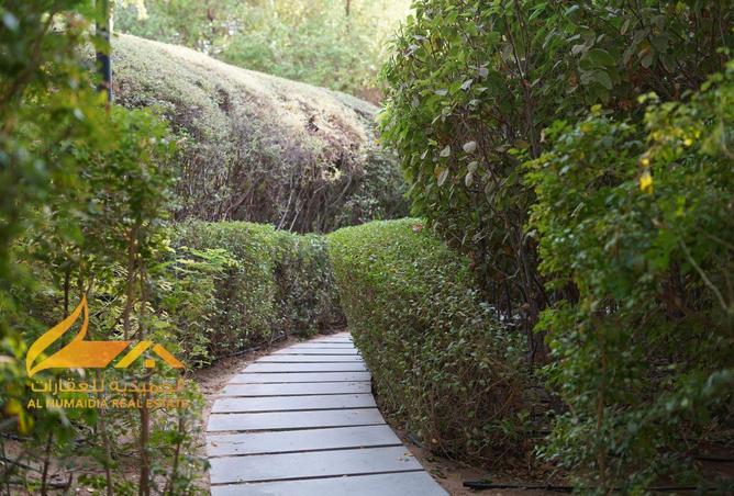 74231464 - Property Image 2