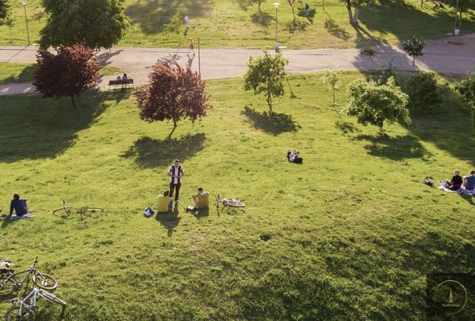 81131649 - Property Image 3