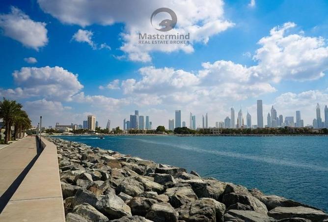 81950516 - صورة العقار 3