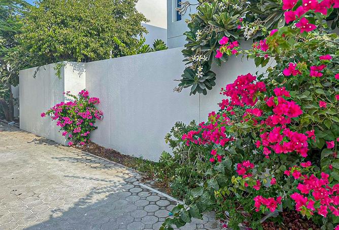 83217157 - Property Image 3