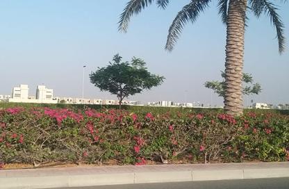 Land - Studio for sale in Jebel Ali Hills - Saih Shuaib 1 - Jebel Ali - Dubai