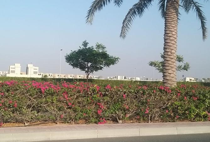 125648317 - صورة العقار 3