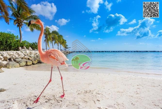 60911285 - Property Main Image