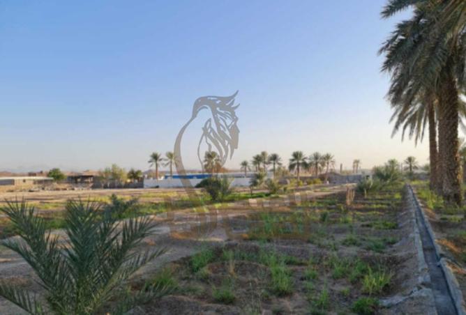 16292563 - صورة العقار 3