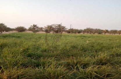 Farm - Studio for sale in Mudfak - Ras Al Khaimah