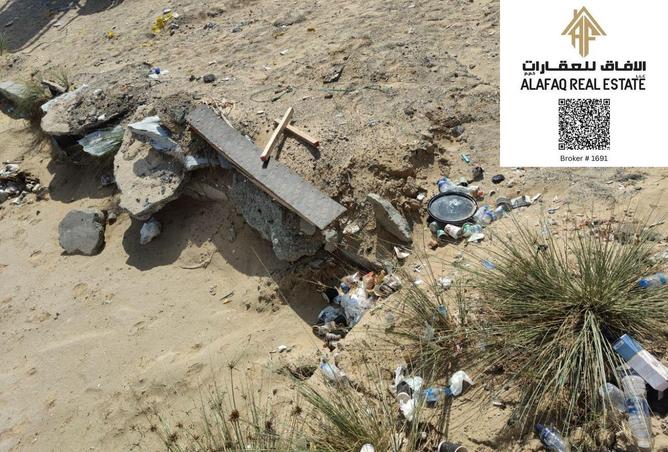 16118306 - Property Image 3