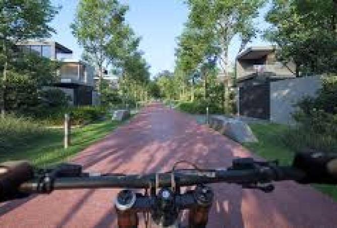 16185716 - صورة العقار 3