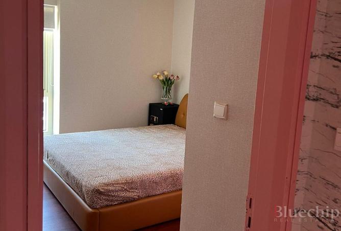 16243515 - Property Image 2