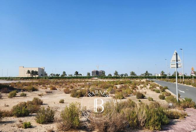 97818236 - Property Image 3