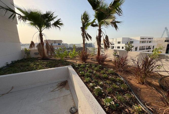 85313576 - Property Main Image
