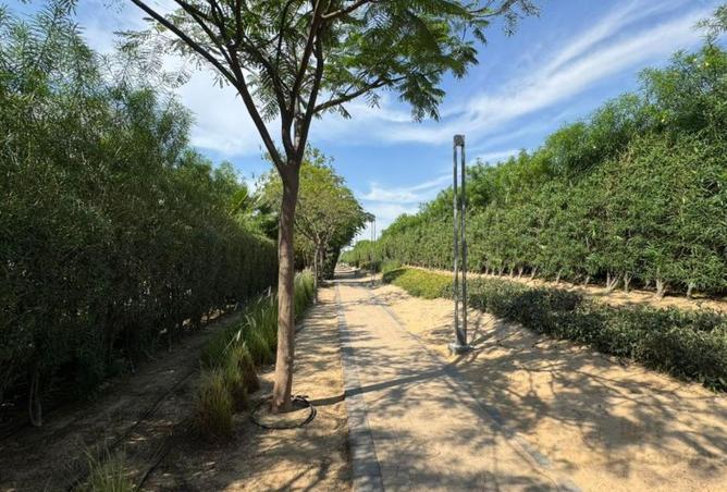 73853767 - Property Image 3