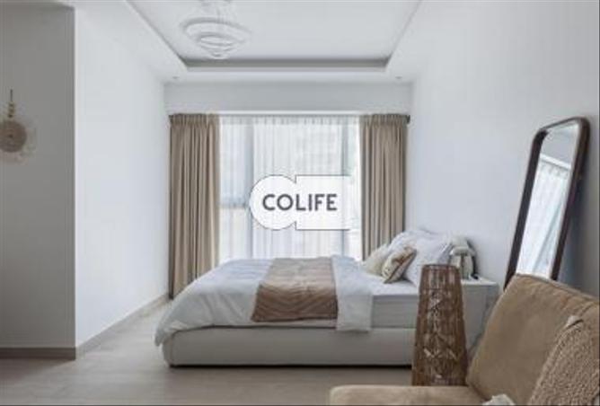 13905382 - Property Image 3