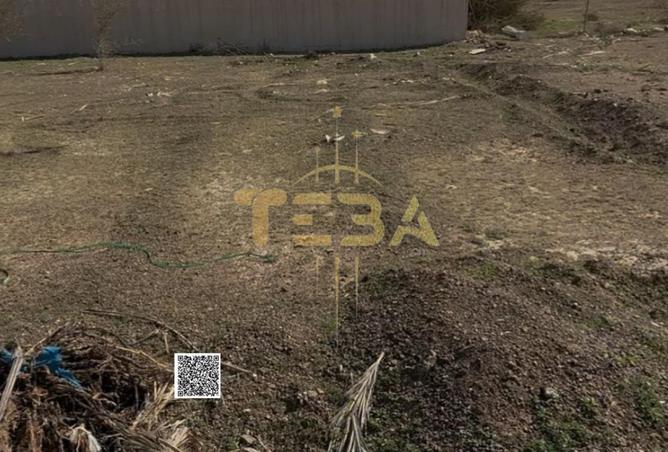 135643763 - Property Image 2
