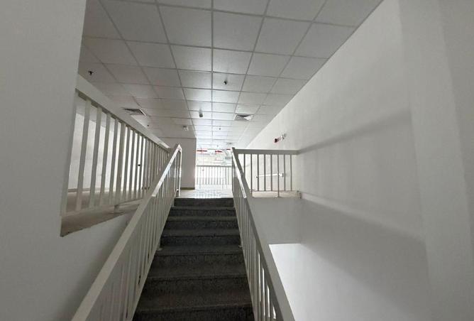 16266178 - صورة العقار 3